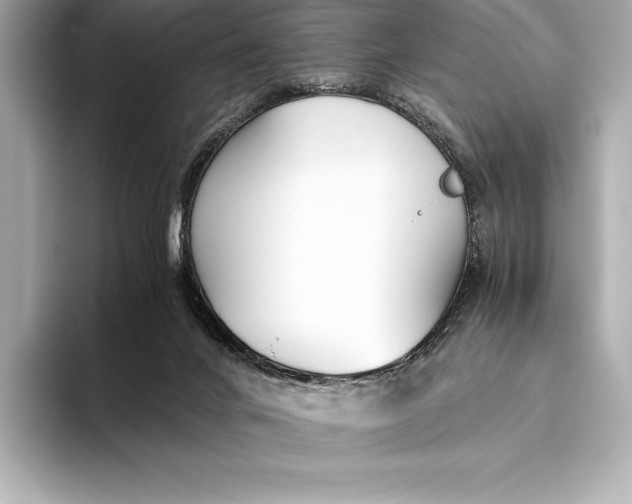 X0000093530024200711021318