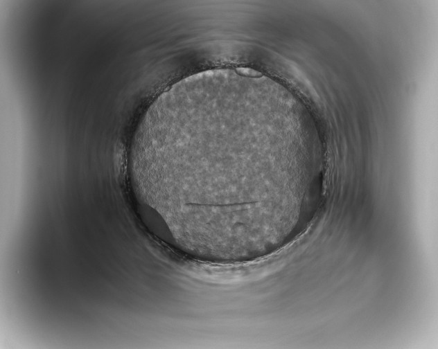 X0000093530029200711021318