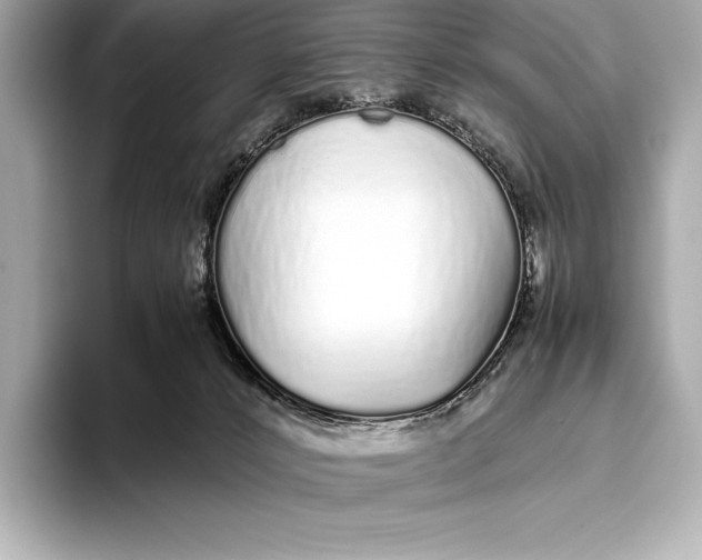 X0000093530032200711021318