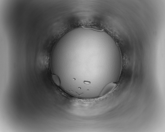 X0000093530033200711021318