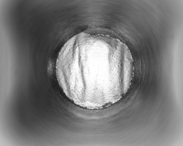 X0000093530038200711021318