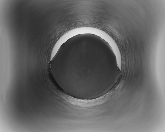 X0000093530039200711021318