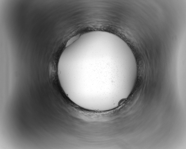 X0000093530040200711021318