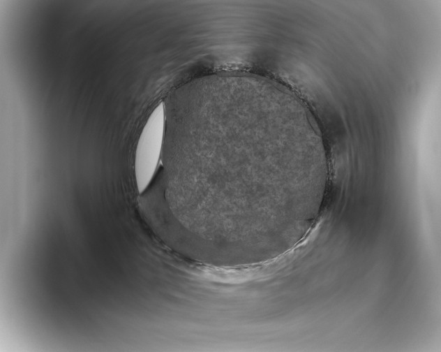 X0000093530041200711021318