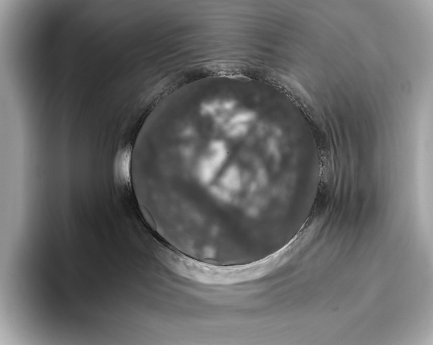 X0000093530047200711021318