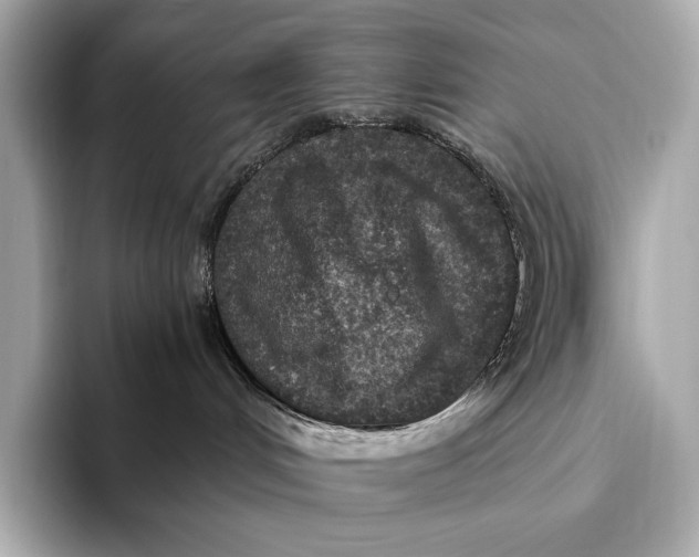 X0000093530048200711021318