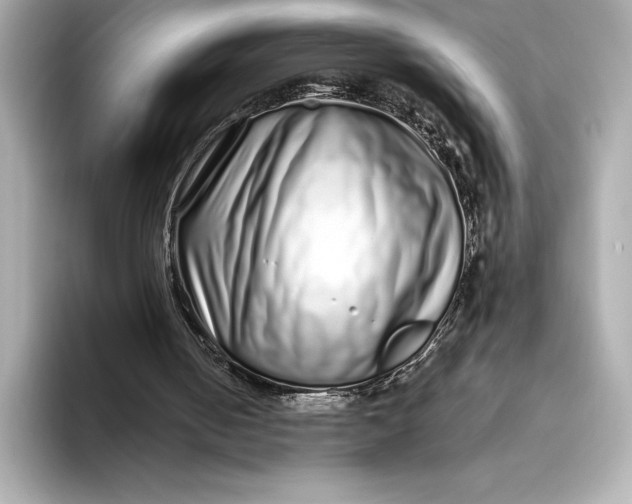 X0000093530050200711021318