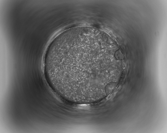 X0000093530053200711021318