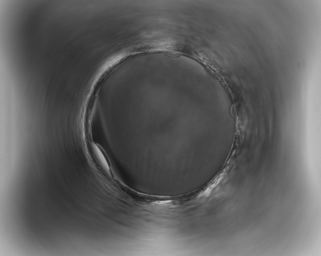 X0000093530054200711021318