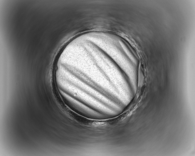 X0000093530055200711021318