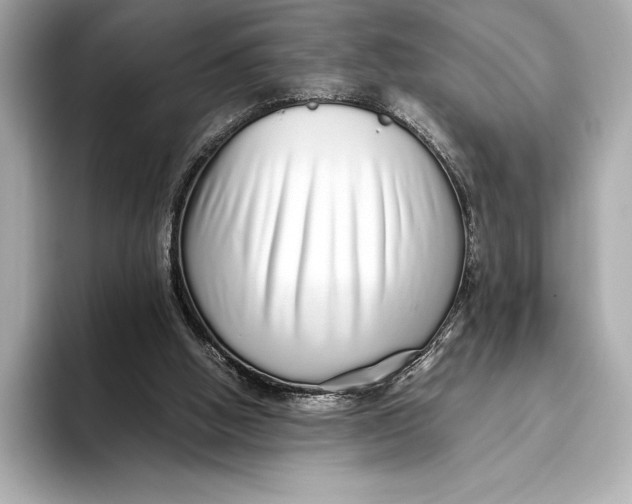 X0000093530058200711021318