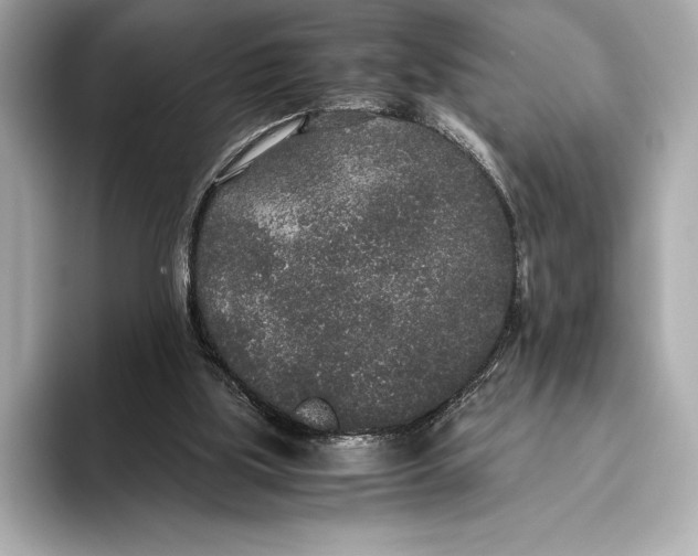 X0000093530059200711021318