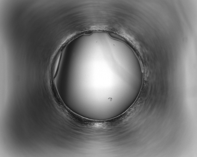 X0000093530060200711021318