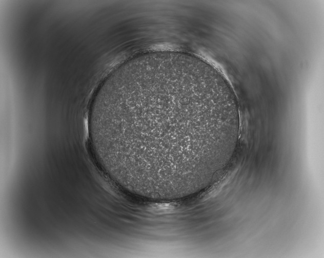 X0000093530061200711021318