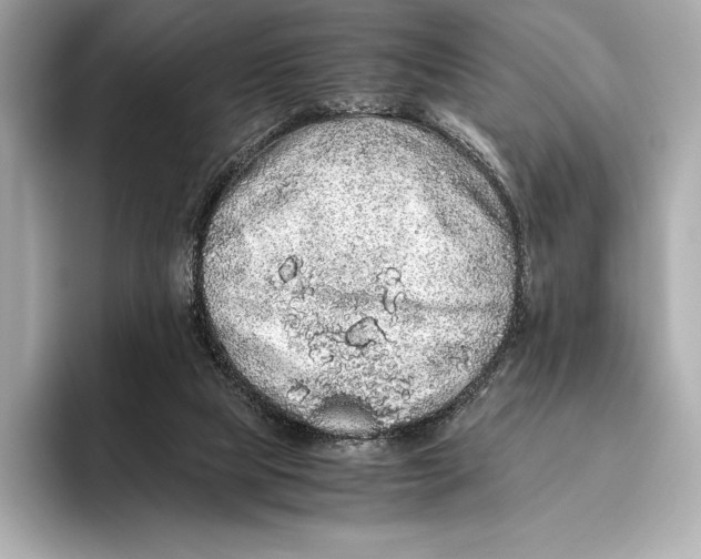 X0000093530065200711021318