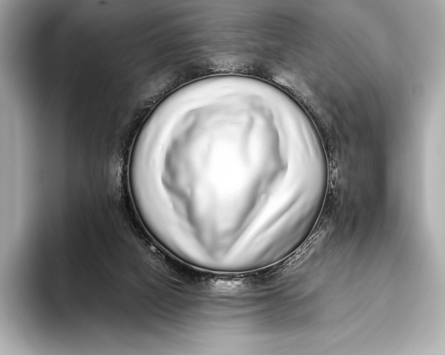 X0000093530066200711021318