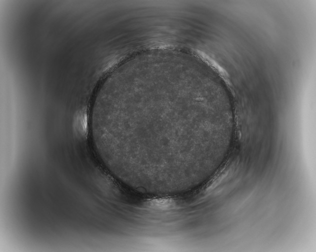 X0000093530067200711021318