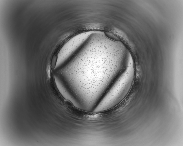 X0000093530068200711021318