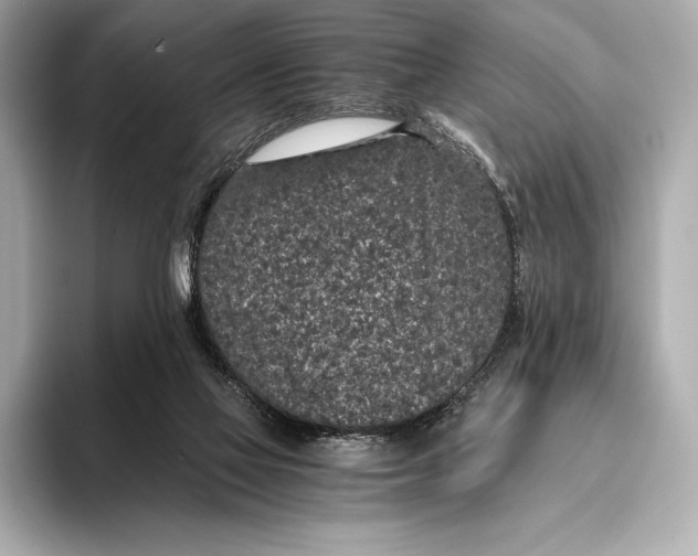 X0000093530069200711021318