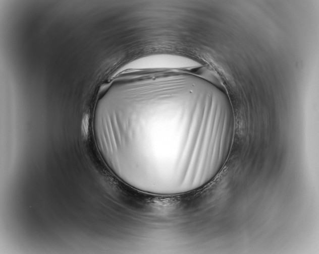 X0000093530070200711021318