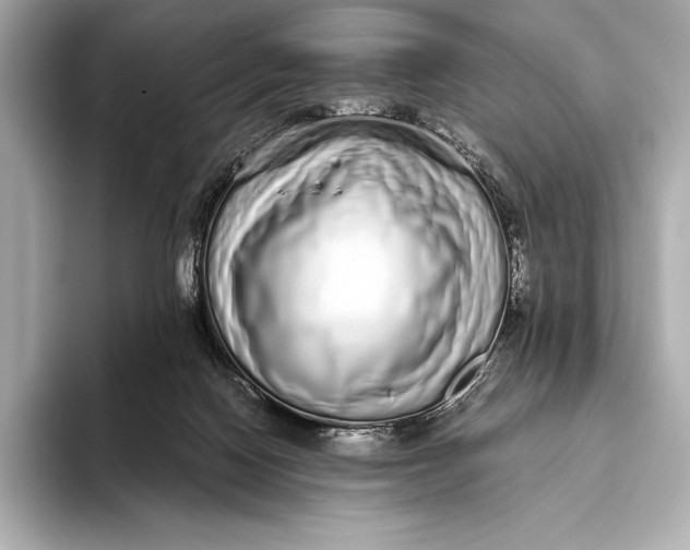 X0000093530074200711021318