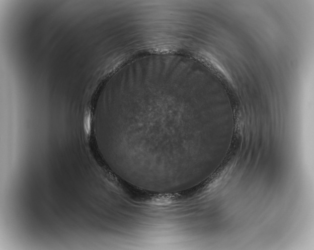 X0000093530076200711021318