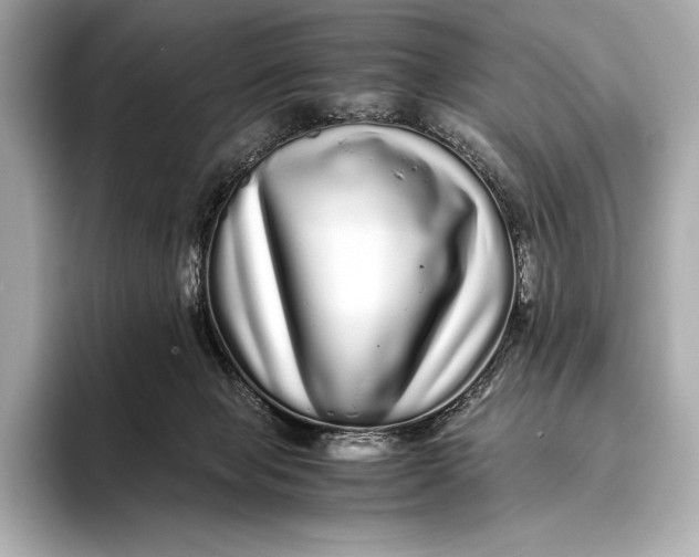 X0000093530077200711021318