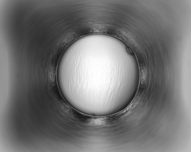 X0000093530078200711021318