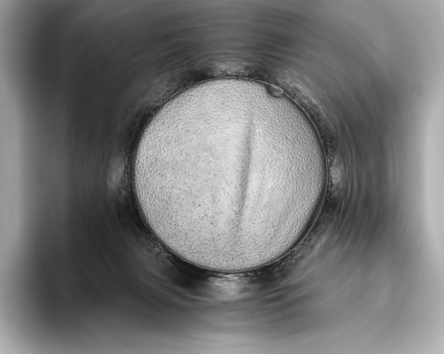 X0000093530079200711021318