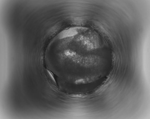 X0000093530080200711021318