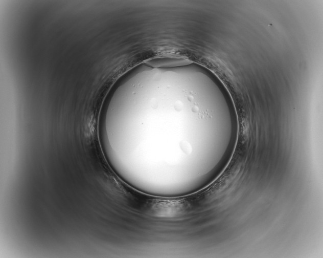 X0000093530081200711021318