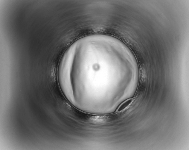 X0000093530082200711021318