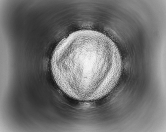 X0000093530083200711021318