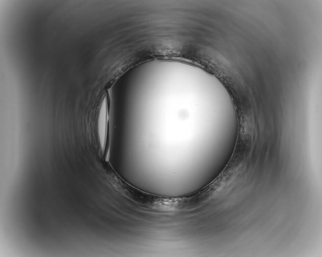 X0000093530084200711021318