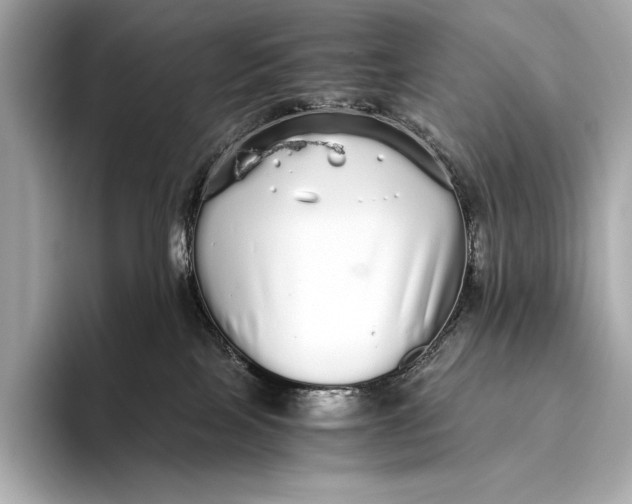 X0000093530089200711021318