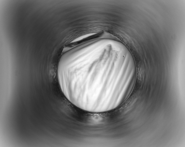 X0000093530091200711021318