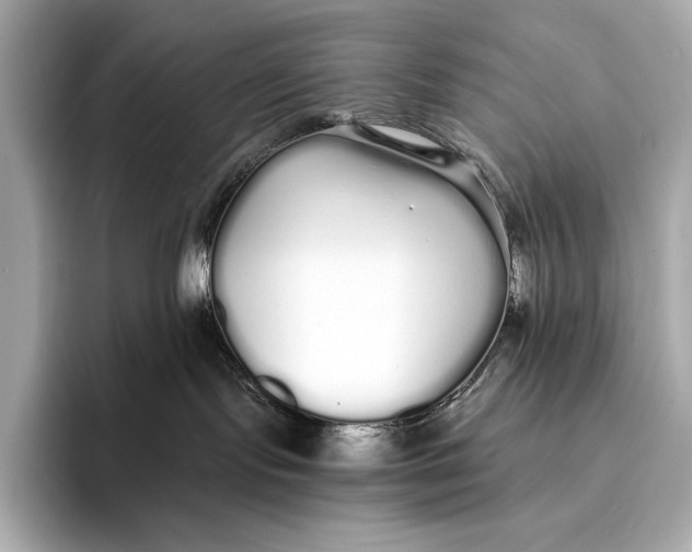 X0000093530095200711021318