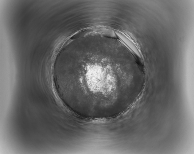 X0000093530097200711021318