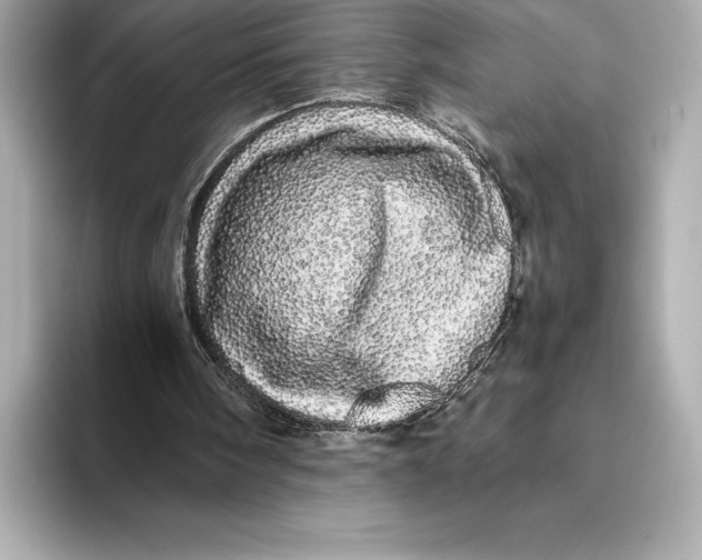 X0000093530098200711021318