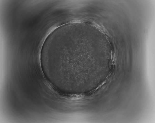 X0000093530099200711021318