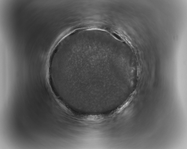 X0000093530101200711021318