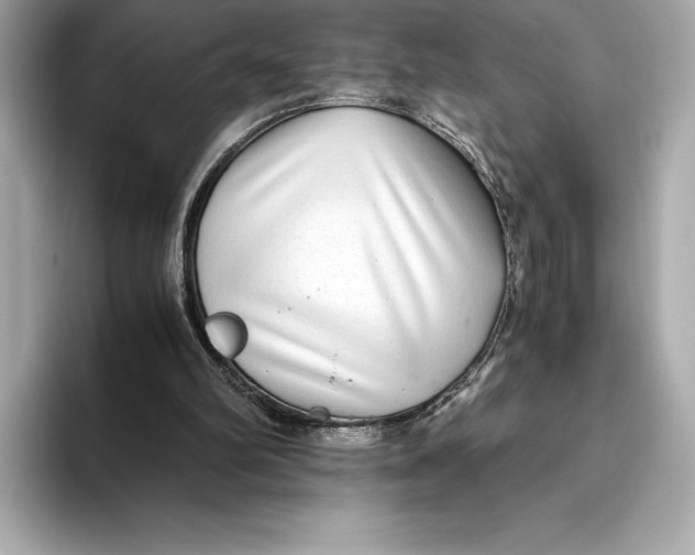 X0000093530102200711021318