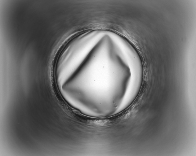 X0000093530103200711021318