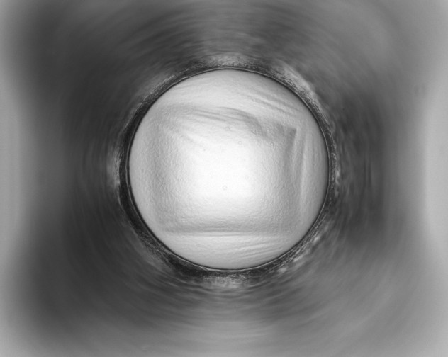 X0000093530106200711021318