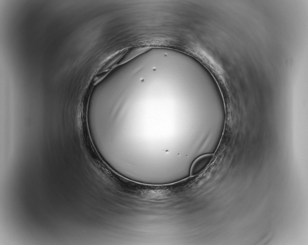 X0000093530107200711021318