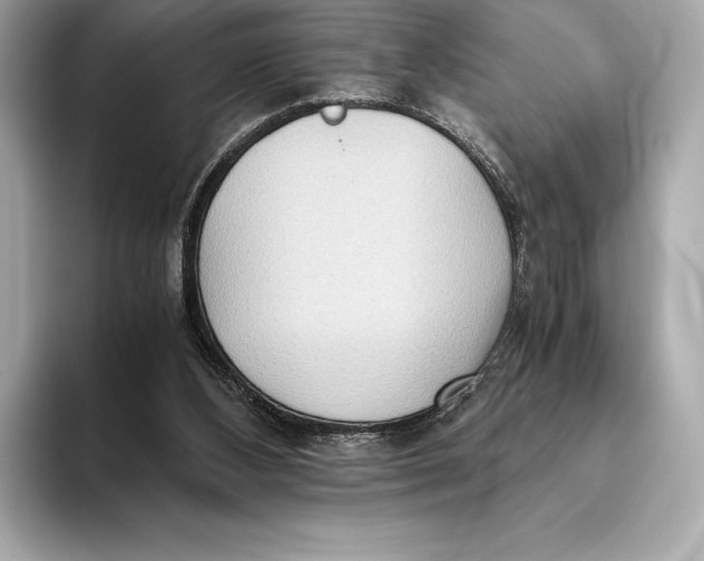 X0000093530108200711021317