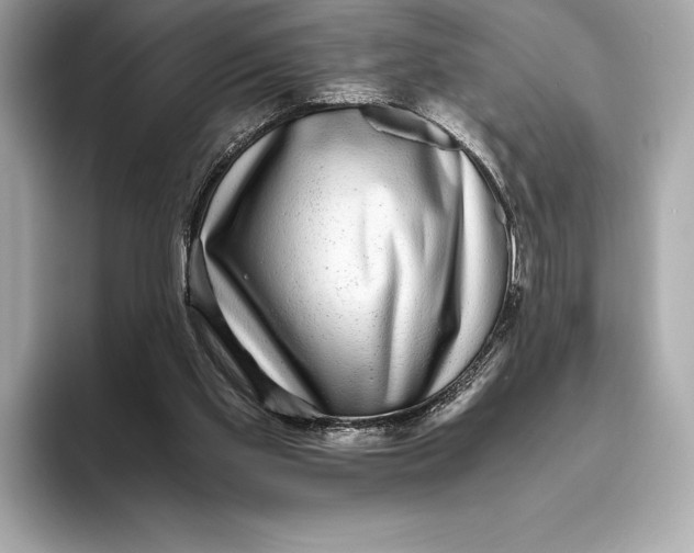 X0000093530109200711021317