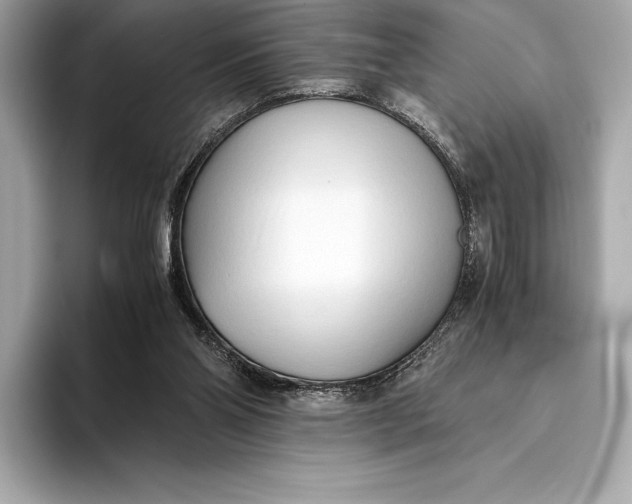 X0000093530110200711021317