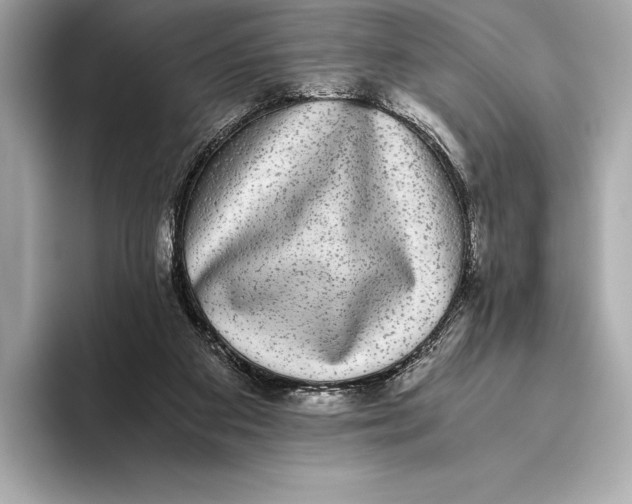 X0000093530113200711021317