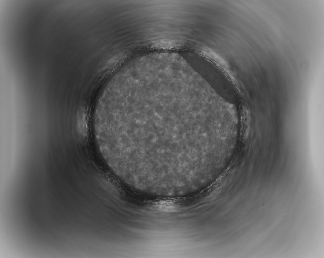 X0000093530114200711021317